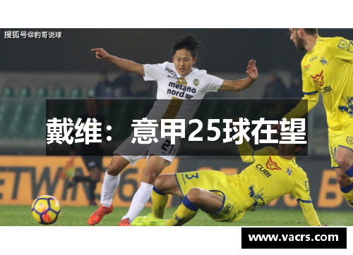 戴维：意甲25球在望